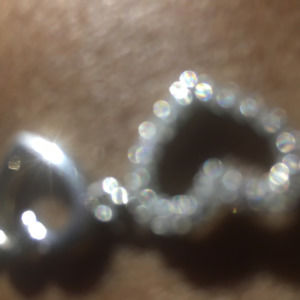 Meet your Posher, Princess